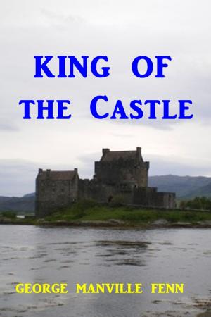 Cover of the book King of the Castle by Wilbur B. Stover