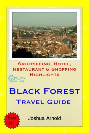 Book cover of Black Forest Travel Guide