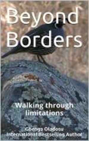 Cover of the book Beyond Borders by Brooklyn E. Lindsey