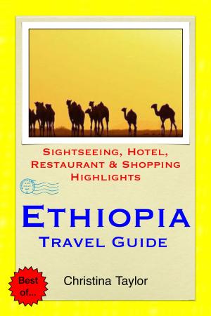 Book cover of Ethiopia Travel Guide