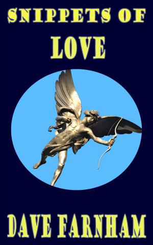 Cover of the book Snippets Of Love by Dave Farnham