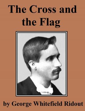 Book cover of The Cross and the Flag