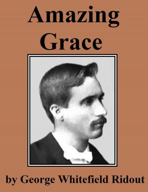 Cover of the book Amazing Grace by Aaron Merritt Hills