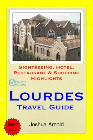 Book cover of Lourdes, France Travel Guide