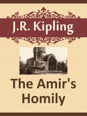 Book cover of The Amir's Homily