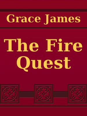 Cover of the book The Fire Quest by Thomas Keightley