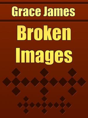 Cover of the book Broken Images by W. R. Shedden-Ralston