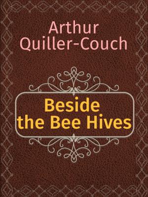 Book cover of Beside the Bee Hives