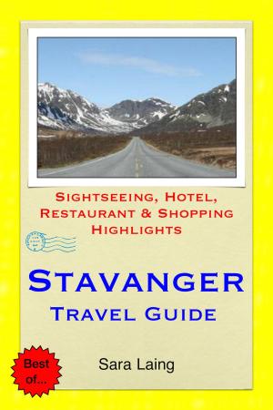 Book cover of Stavanger, Norway Travel Guide