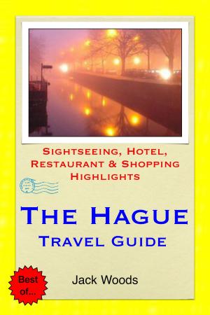 Cover of the book The Hague, Netherlands Travel Guide by Emily Sutton