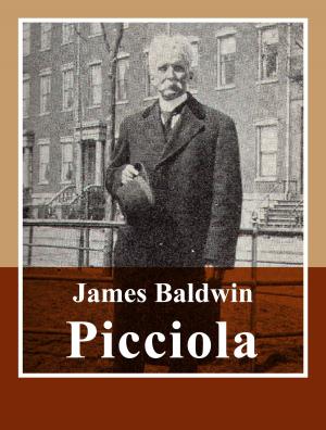 Cover of the book Picciola by Richard Burton