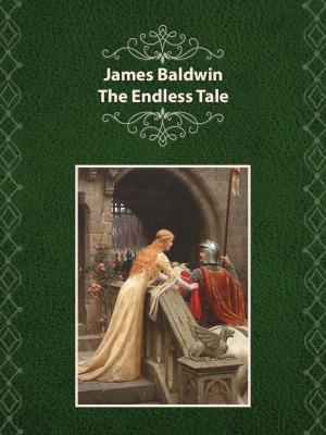 Book cover of The Endless Tale
