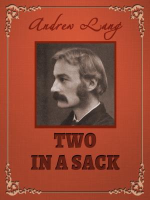 Cover of the book Two in a Sack by Andrew Lang