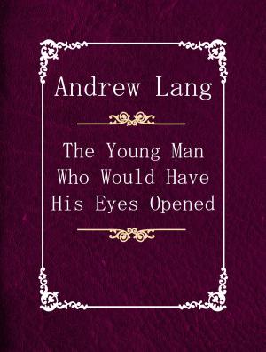 Cover of the book The Young Man Who Would Have His Eyes Opened by Charles G. Leland