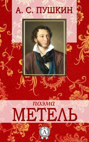 Cover of the book Метель by Марк Твен