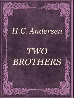 Cover of the book TWO BROTHERS by Charles M. Skinner