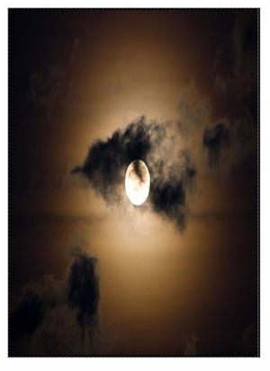 Cover of the book Les premiers hommes dans la lune by Rudyard Kipling