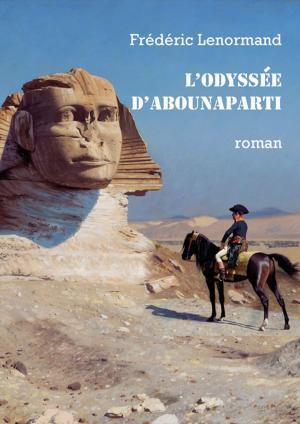 Cover of the book L'Odyssée d'Abounaparti by Frédéric Lenormand