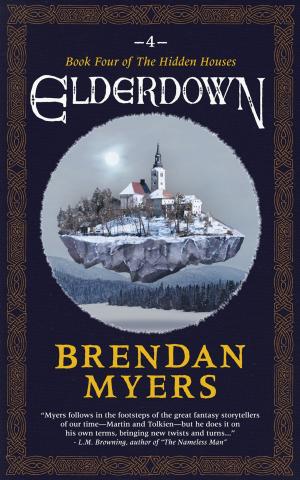 Cover of the book Elderdown by Neil Hetzner