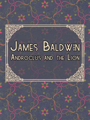 Book cover of Androclus and the Lion