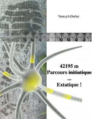 Book cover of 42195 m, parcours initiatique ... Extatique !