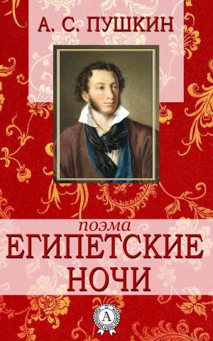 Cover of the book Египетские ночи by Николай Михайловский