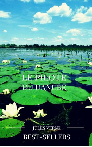 Cover of the book le pilote du danube by MARCEL PROUST