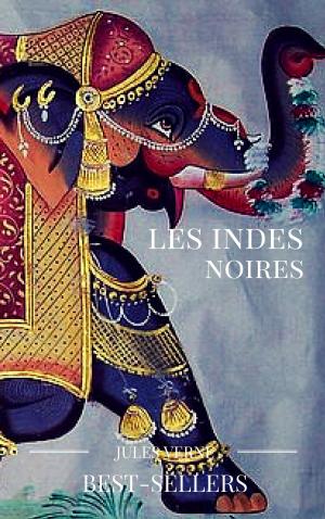 Cover of the book les indes noires by alexandre dumas