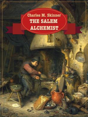 Book cover of The Salem Alchemist