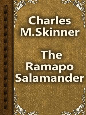 bigCover of the book The Ramapo Salamander by 