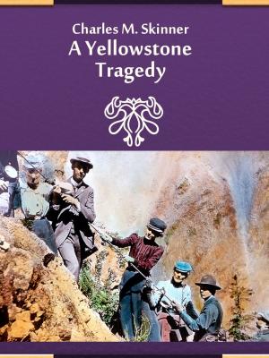 Book cover of A Yellowstone Tragedy