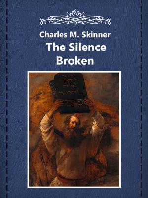 Cover of the book The Silence Broken by F. Anstey