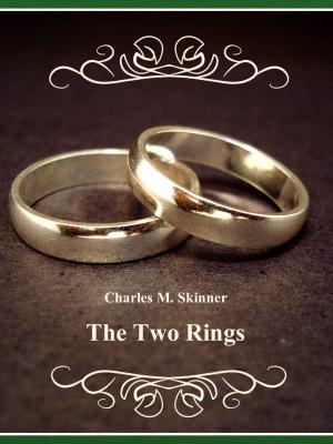 Cover of the book The Two Rings by Jean Lang