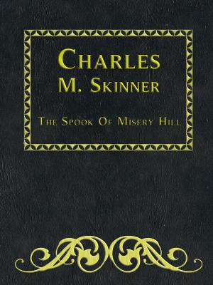 Book cover of The Spook Of Misery Hill