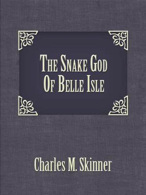 Book cover of The Snake God Of Belle Isle