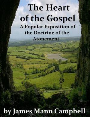 Cover of the book The Heart of the Gospel by James Caughey