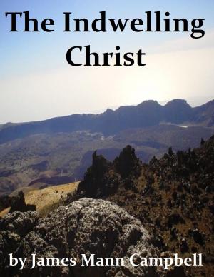 Cover of the book The Indwelling Christ by Phineas F. Bresee