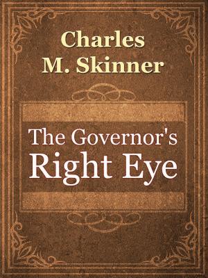Cover of the book The Governor's Right Eye by William Buckland