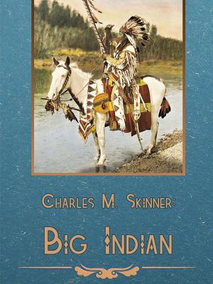 Cover of the book Big Indian by Chukchee Mythology