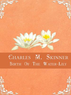 Book cover of Birth Of The Water-Lily