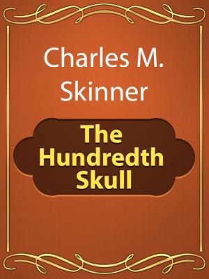 Book cover of The Hundredth Skull