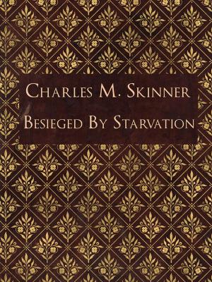 bigCover of the book Besieged By Starvation by 