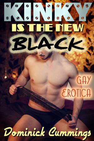 Cover of the book Kinky is the New Black: Gay Erotica by Rusty Saber