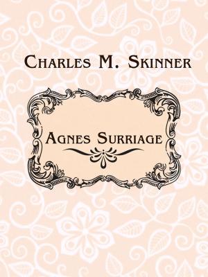 Book cover of Agnes Surriage