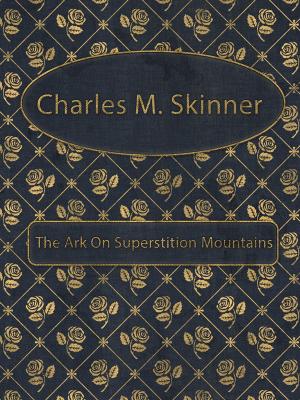 Cover of the book The Ark On Superstition Mountains by Charles M. Skinner