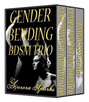 Cover of the book Gender Bending BDSM Trio by Aurora Sparks