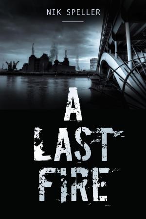Cover of the book A Last Fire by Chris Allen