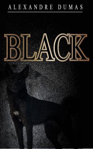 Cover of the book BLACK by Hector MALOT