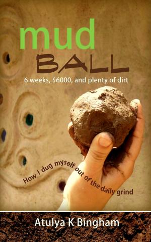 Cover of the book Mud Ball by Carolina Fernandez, Alissa Dragun