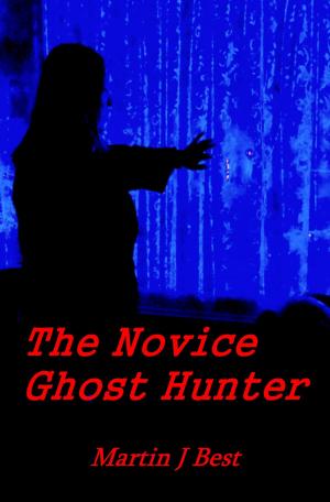 Book cover of The Novice Ghost Hunter